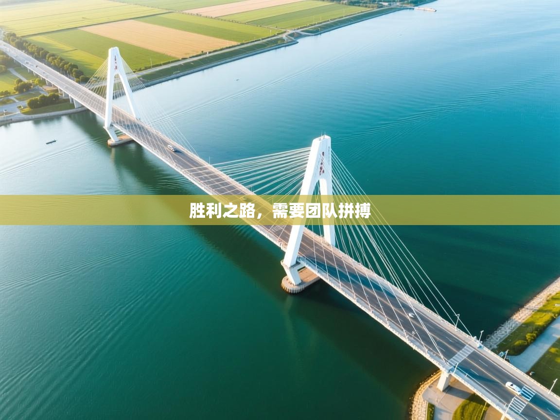 胜利之路,需要团队拼搏 第1张